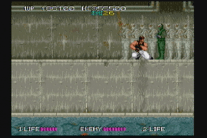 Bad Dudes 11