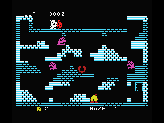 Chack'n Pop abandonware